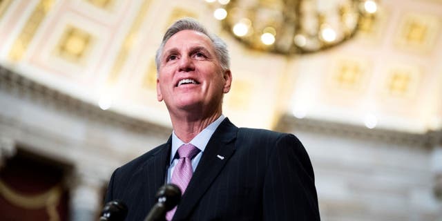 Speaker of the House Kevin McCarthy, R-Calif., conducts a news conference in the U.S. Capitols Statuary Hall.