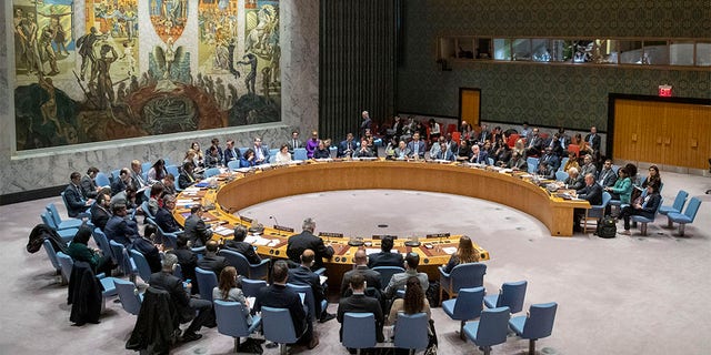 The U.N. Security Council holds a meeting on the Middle East in November 2019 at United Nations headquarters.