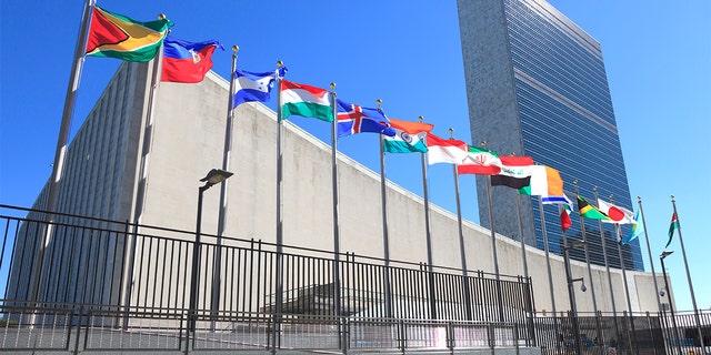 The United Nations will restore voting rights to three nations after sufficient payments were made to the international body.
