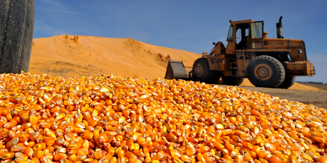 Mexico's proposed ban on GMO corn has led the U.S. to seek opportunities for trade negotiations.