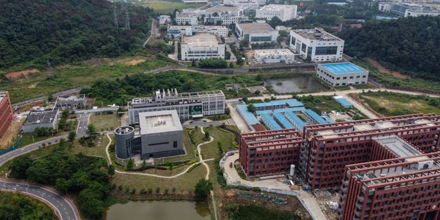 The Wuhan Institute of Virology in Wuhan in China.