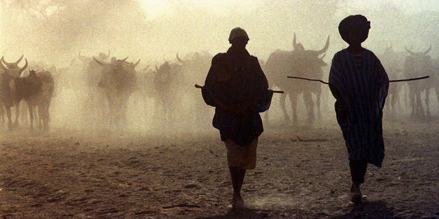 Mali Jihadi Cattle Raids