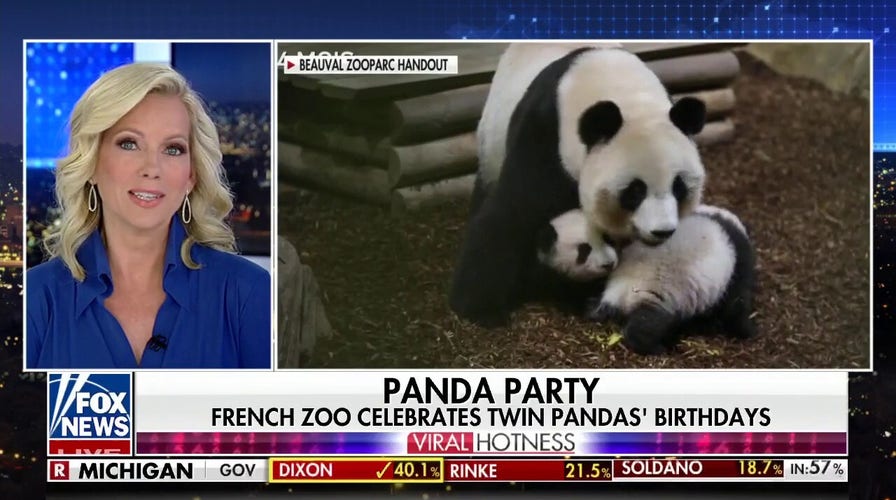 French zoo celebrates twin pandas’ birthdays