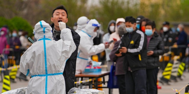 A health worker in protective suit takes a throat swab sample from a resident at a coronavirus testing site, Wednesday, April 6, 2022, in Beijing. 