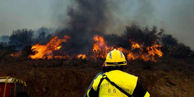 A firefighter is shown trying to put out a forest fire on April 16, 2023, near Cerbere, France. Hundreds of firefighters have been battling the country's biggest forest fire of the year.