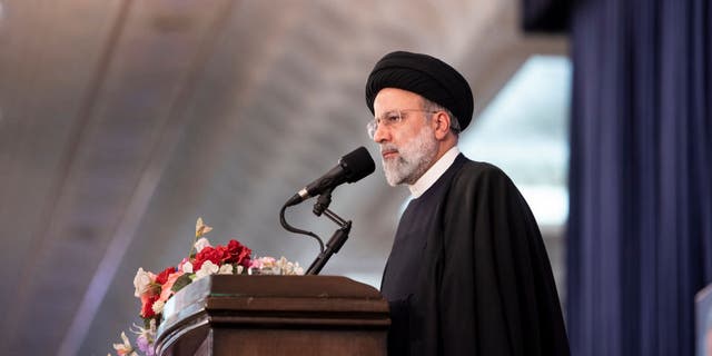 Iranian President Ebrahim Raisi in March ordered authorities to investigate some of the poisonings, which occurred at girls' schools, describing them as "noxious fumes" that made the girls sick.