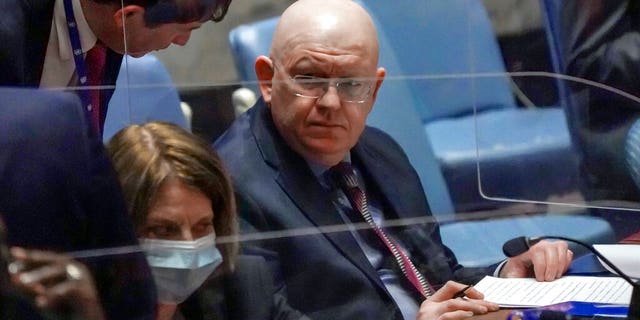 Vassily Nebenzia sits in chamber during meeting