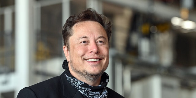 Tesla CEO Elon Musk