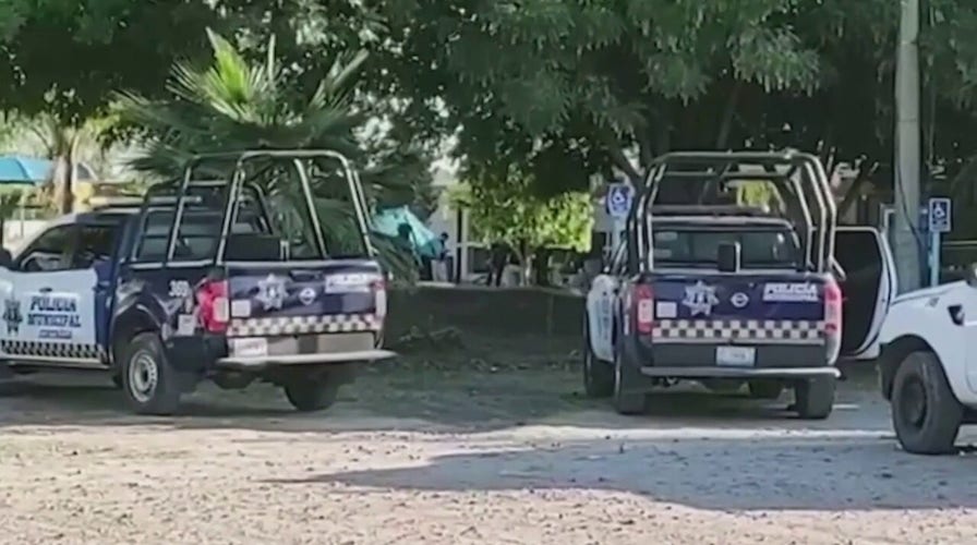 Mexican authorities respond to resort after shooting leaves seven dead, including child 
