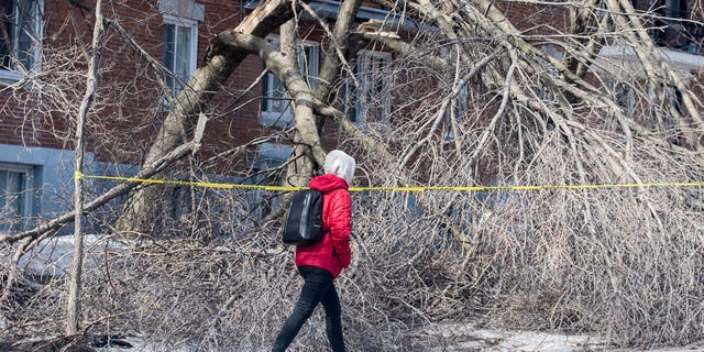 Hundreds of thousands of Canadians have been left without power in the wake of a severe ice storm.