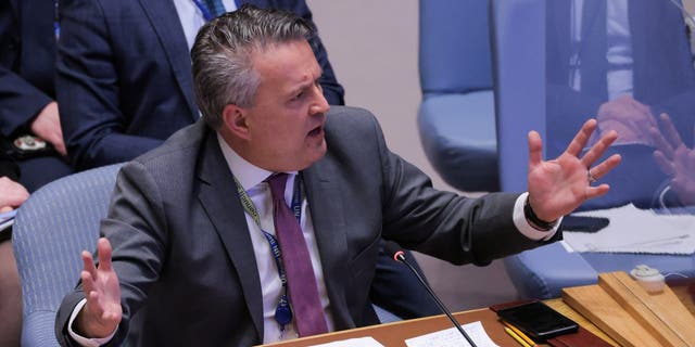 Ukrainian Ambassador Sergiy Kyslytsya addresses the Security Council amid Russia's invasion of Ukraine at the U.N. headquarters in New York City, April 5, 2022.