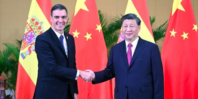 Chinese President Xi Jinping meets with Spanish Prime Minister Pedro Sanchez in Bali, Indonesia, Nov. 15, 2022. 