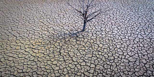 A view of the dry Sau reservoir about 62 miles north of Barcelona. Spain, is shown on March 20, 2023. Farmers in the country fear the long-term drought has led to irreversible damages to crops.