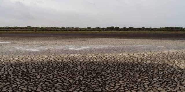 Cracks in the mud are seen in a dry wetland in Donana natural park, Spain, on Oct. 19, 2022. Lawmakers in the Andalusia region are set on April 12, 2023, to vote in favor of rezoning lands near one of Europe’s most prized wetlands as irrigable against the advice of ecologists.