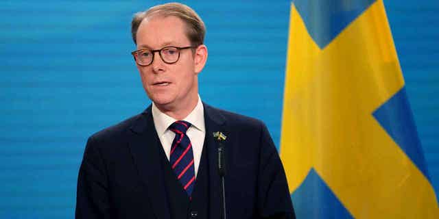 The Foreign Minister of Sweden Tobias Billstrom
