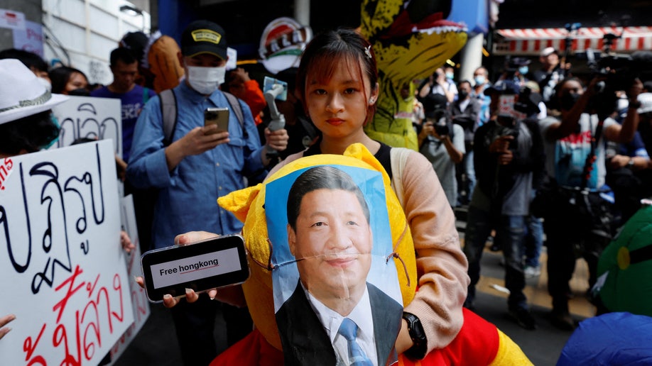 Winnie the Pooh costume mocking Xi Jinping