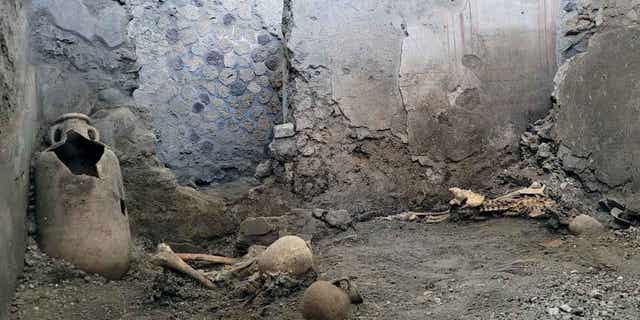 Skeleton in Pompeii