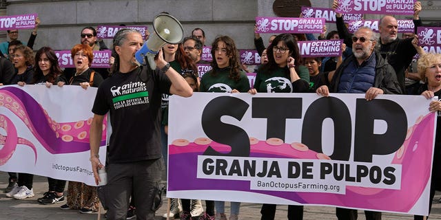 protest in spain