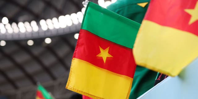 Cameroonian flag