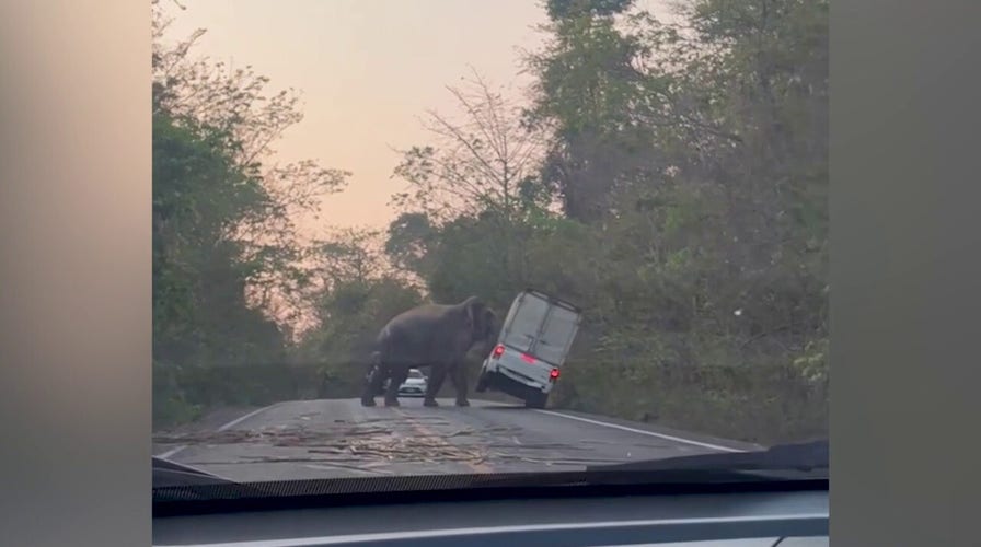 Aggressive wild elephant in Thailand tips over truck in its path