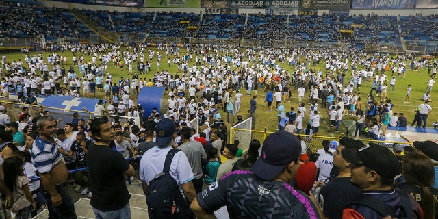 fans in stadium after stampede