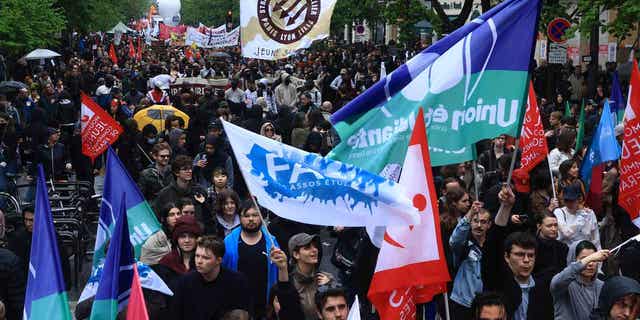 Protesters march during a demonstration in France