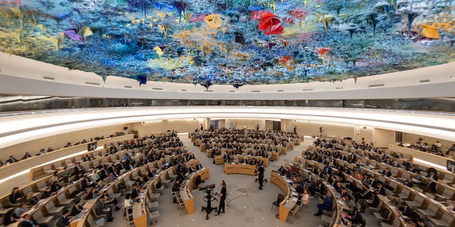 U.N. council