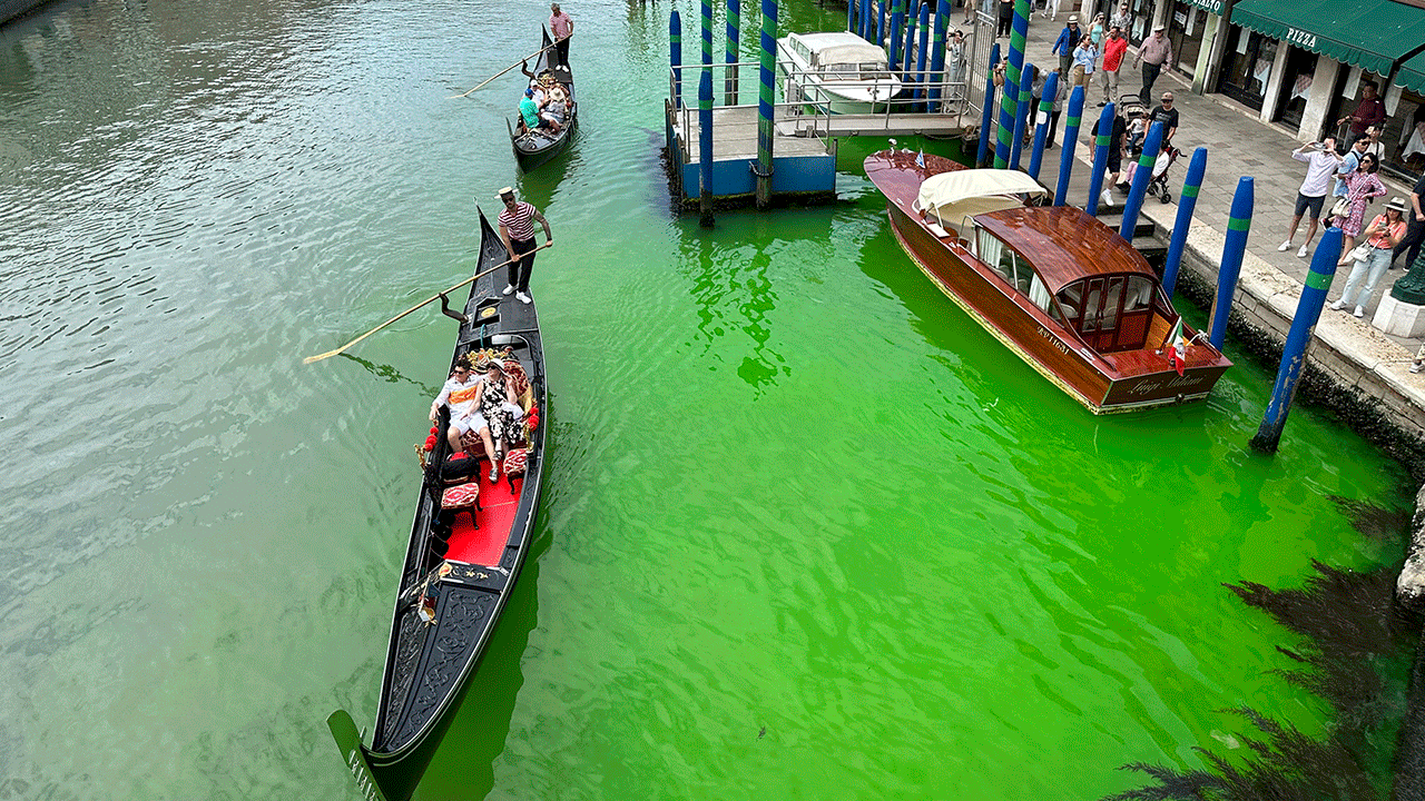 A boat journey's through the bright green canal