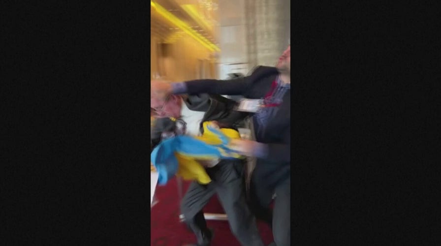 Ukrainian delegate punches Russian official after photobomb attempt