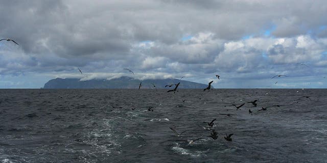 Gough Island in background seen from water