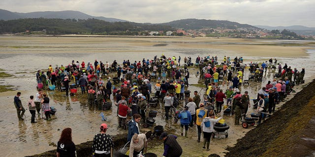 clam collecting in Spain