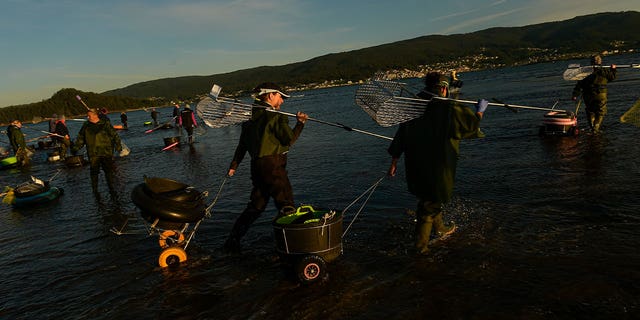 clam collecting in Spain