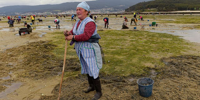 clam collecting in Spain