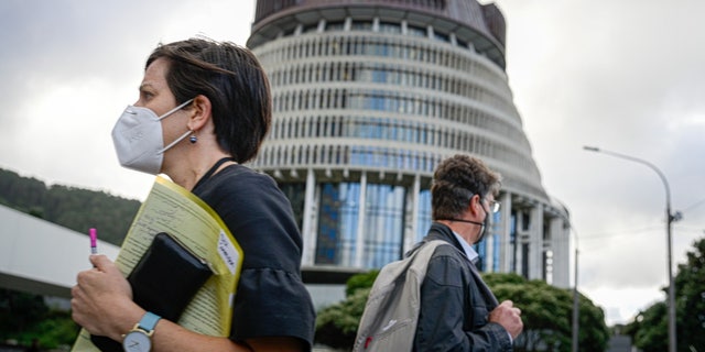 Masked people outside New Zealand Parliament