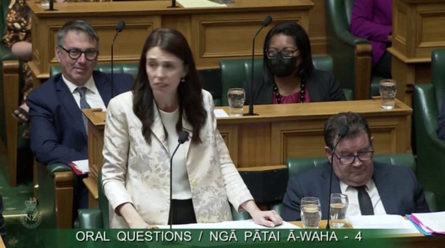 WARNING: EXPLICIT LANGUAGE New Zealand prime minister insults parliamentarian on hot mic