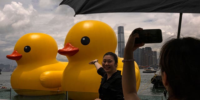 giant duck toys in Hong Kong