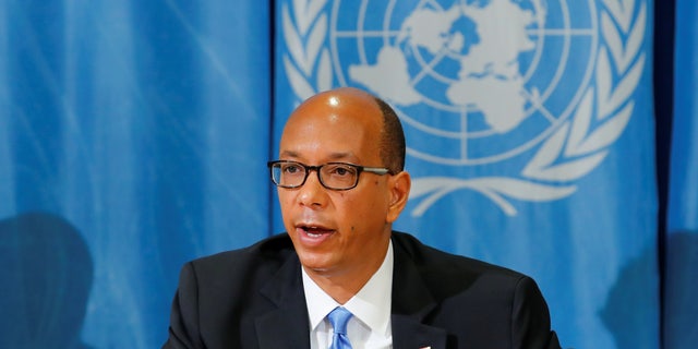 Ambassador Robert Wood, UN logo in background