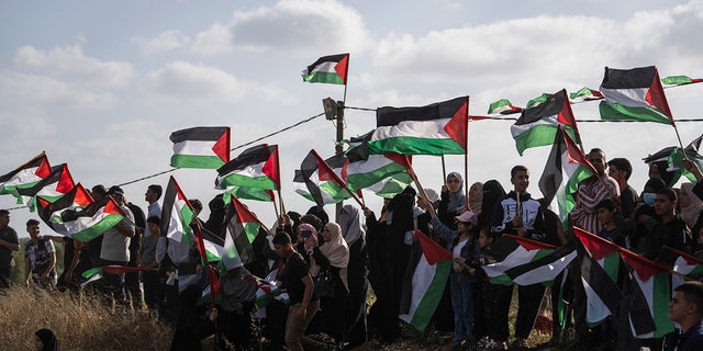 Palestinians protesting with Palestine flags