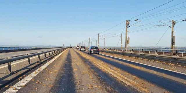 Denmark potato bridge