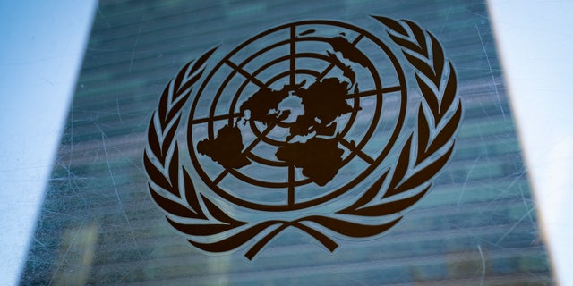 United Nations symbol