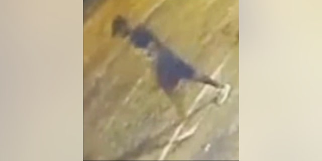 The suspect wearing a hat