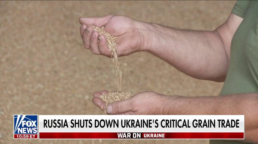 Putin launches war on food in Ukraine