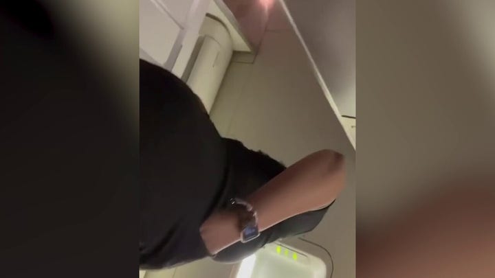 United Airlines passenger pummels flight attendant