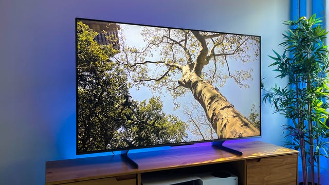 Hisense U8H 2022 Google TV showing a tree