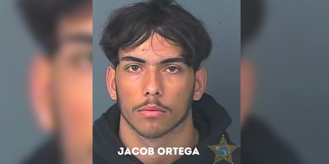 Jacob Ortega, pictured, was charged with burglary, grand theft and unlawful use of a two-way communication device