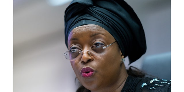 Nigerias Diezani Alison-Madueke