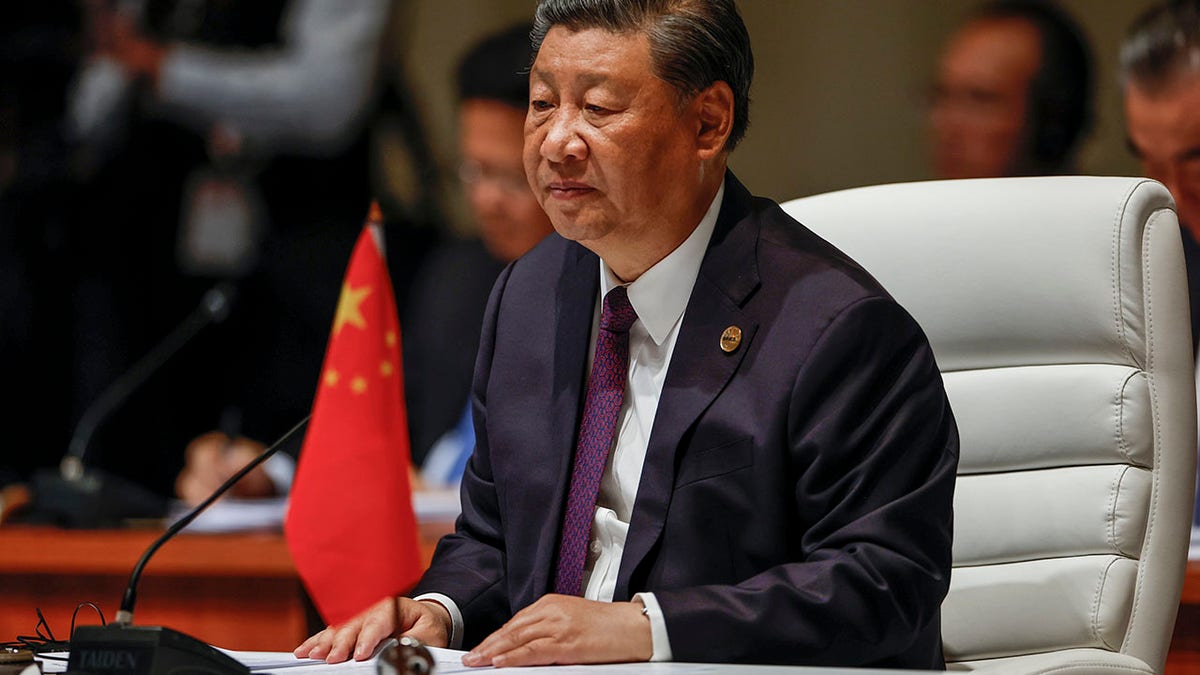 Xi Jinping at BRICS summit