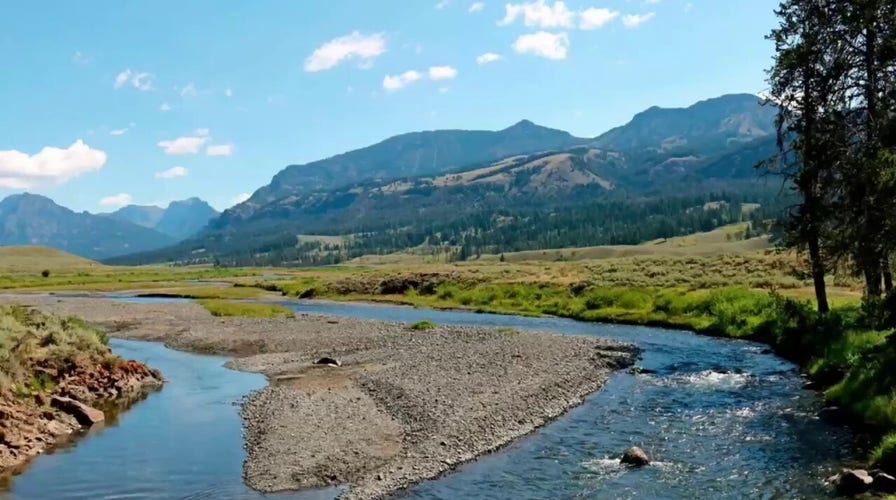 Yellowstone is America’s first national park – here is its majestic story