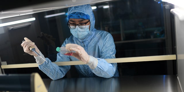 china infectious disease researcher