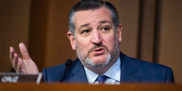 Ted Cruz during Senate hearing